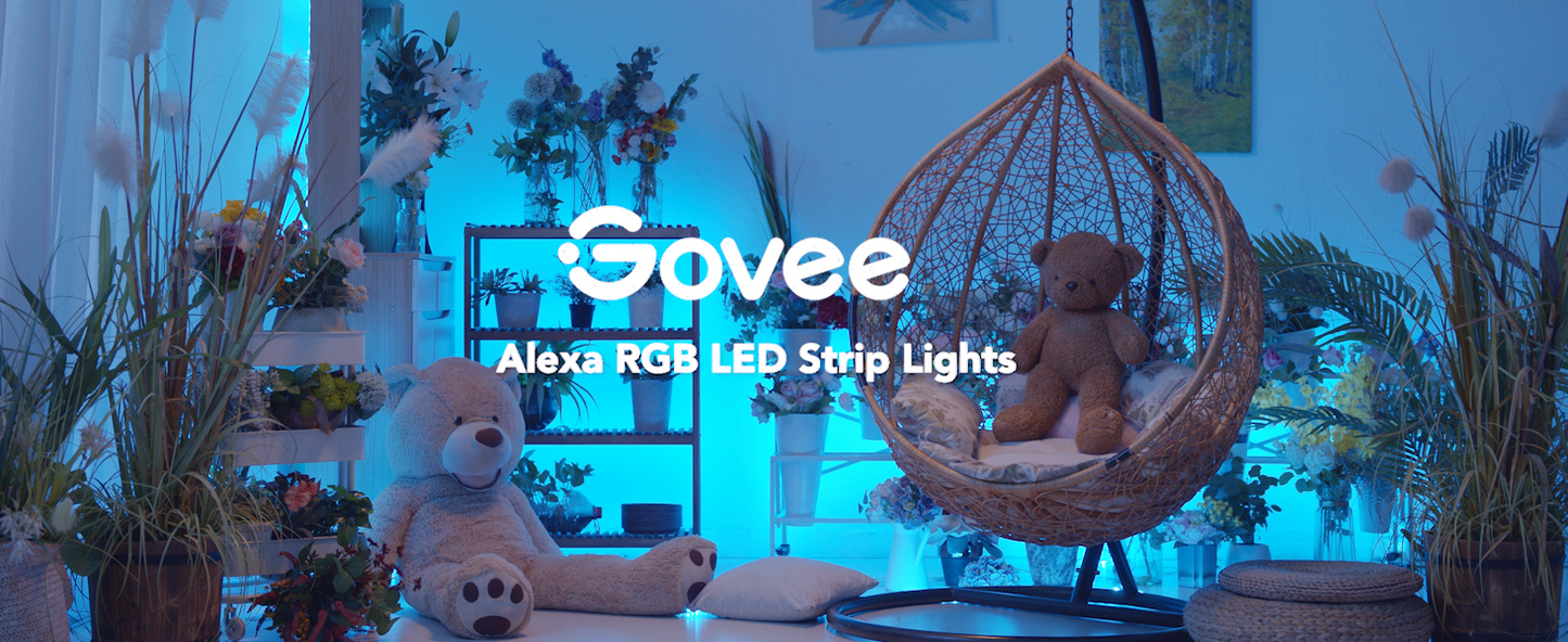 Govee Alexa RGB LED strip lights illuminating a cozy van life interior with hanging chair and plants