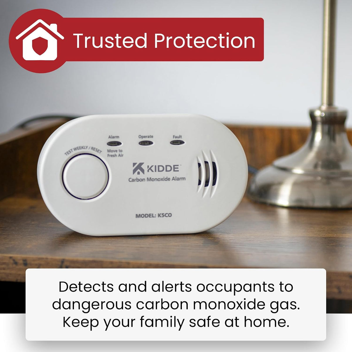 5CO Carbon Monoxide Alarm and Detector with AA Batteries - 10 Year Sensor Life CO Alarm for Home