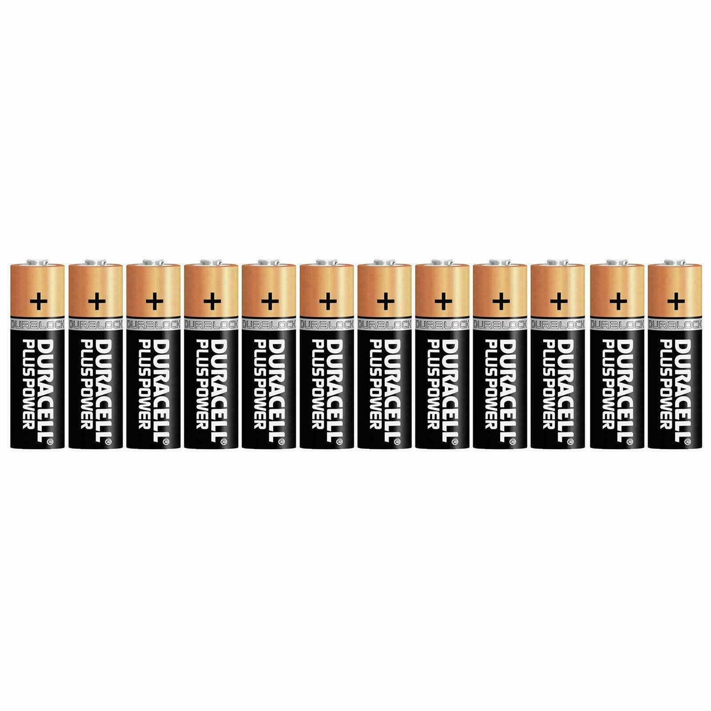 Duracell Plus Power AA batteries for van life essentials and outdoor gear
