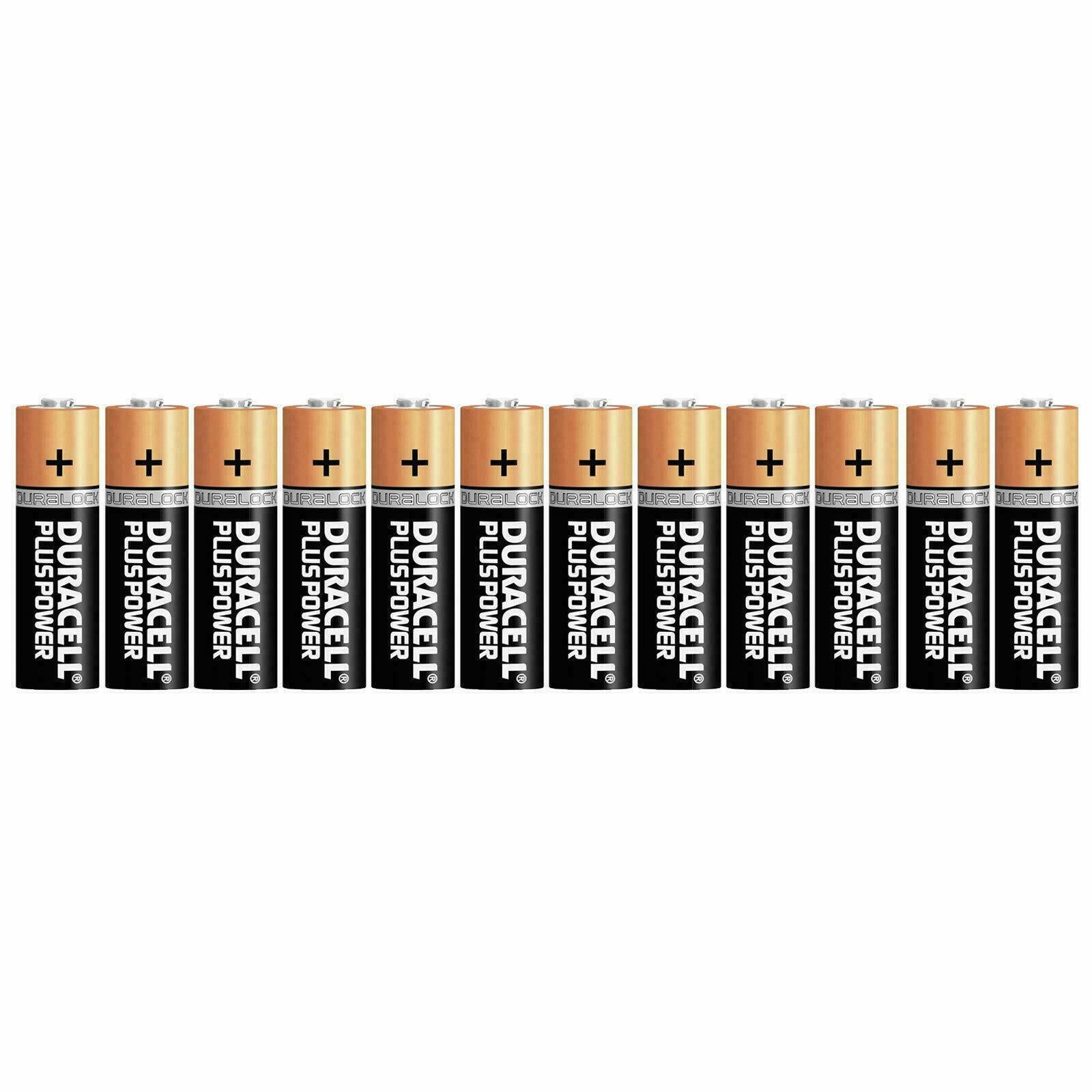 Duracell Plus Power AA batteries for van life essentials and outdoor gear