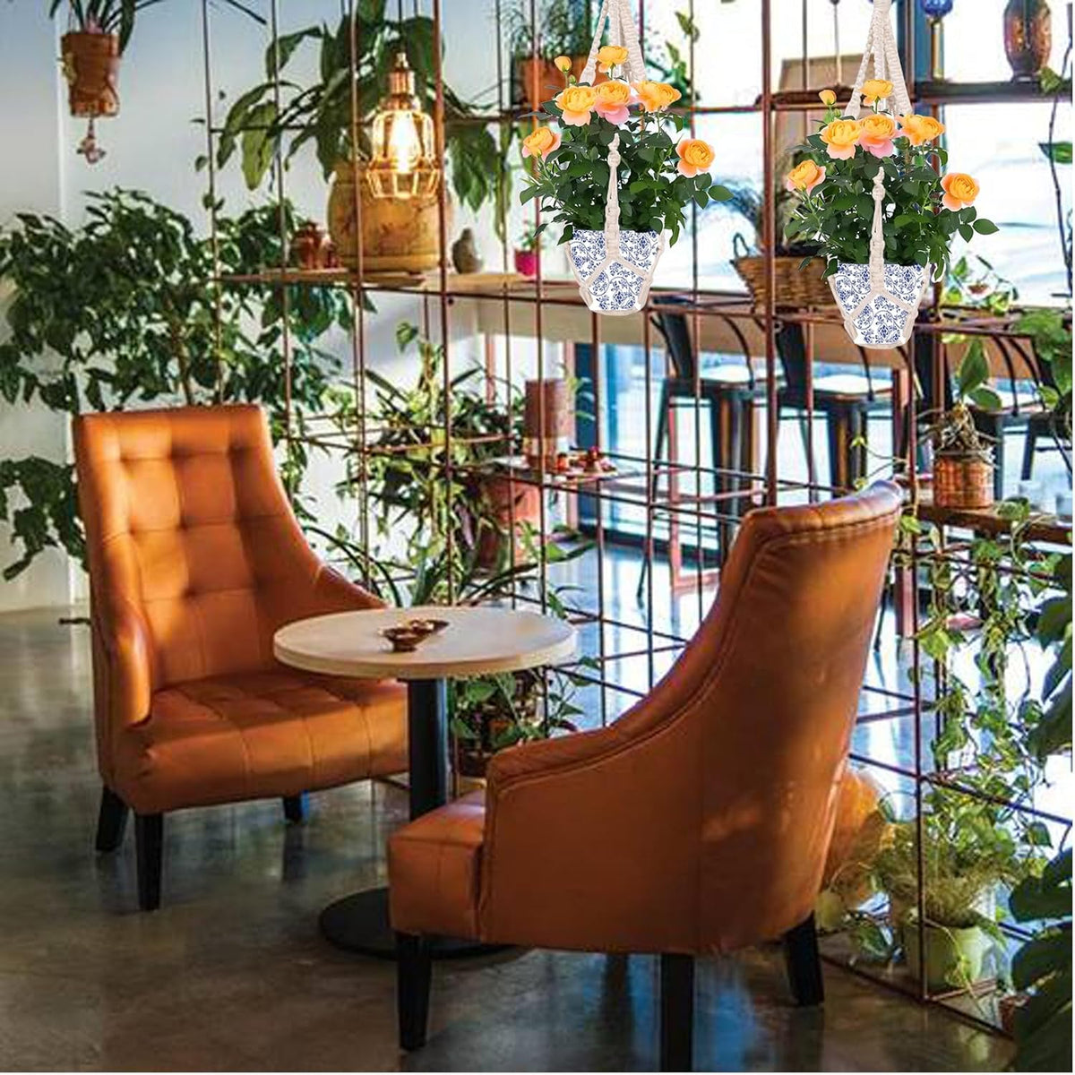 Cotton Macramé Plant Hangers – Pair, 50cm – hanging plants in a dining area