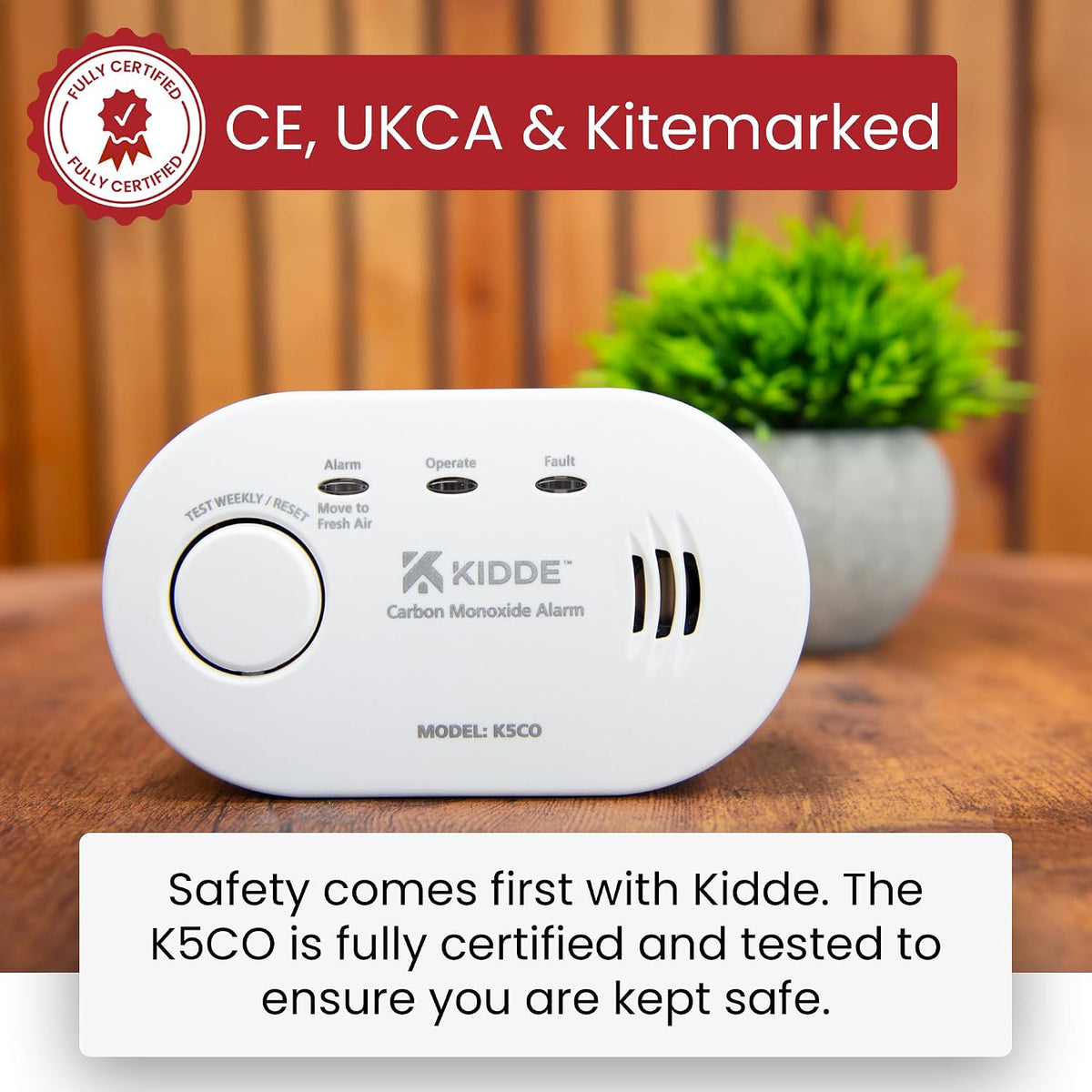 5CO Carbon Monoxide Alarm and Detector with AA Batteries - 10 Year Sensor Life CO Alarm for Home
