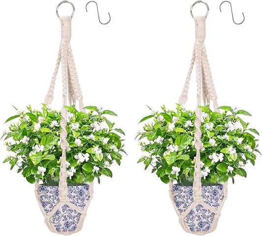 Cotton Macramé Plant Hangers – Pair, 50cm – pair of cotton hangers with plant and pot styling on white