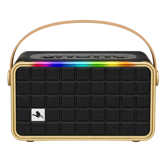 Portable Bluetooth speaker with rainbow LED lights, gold trim, and carry handle for van life adventures