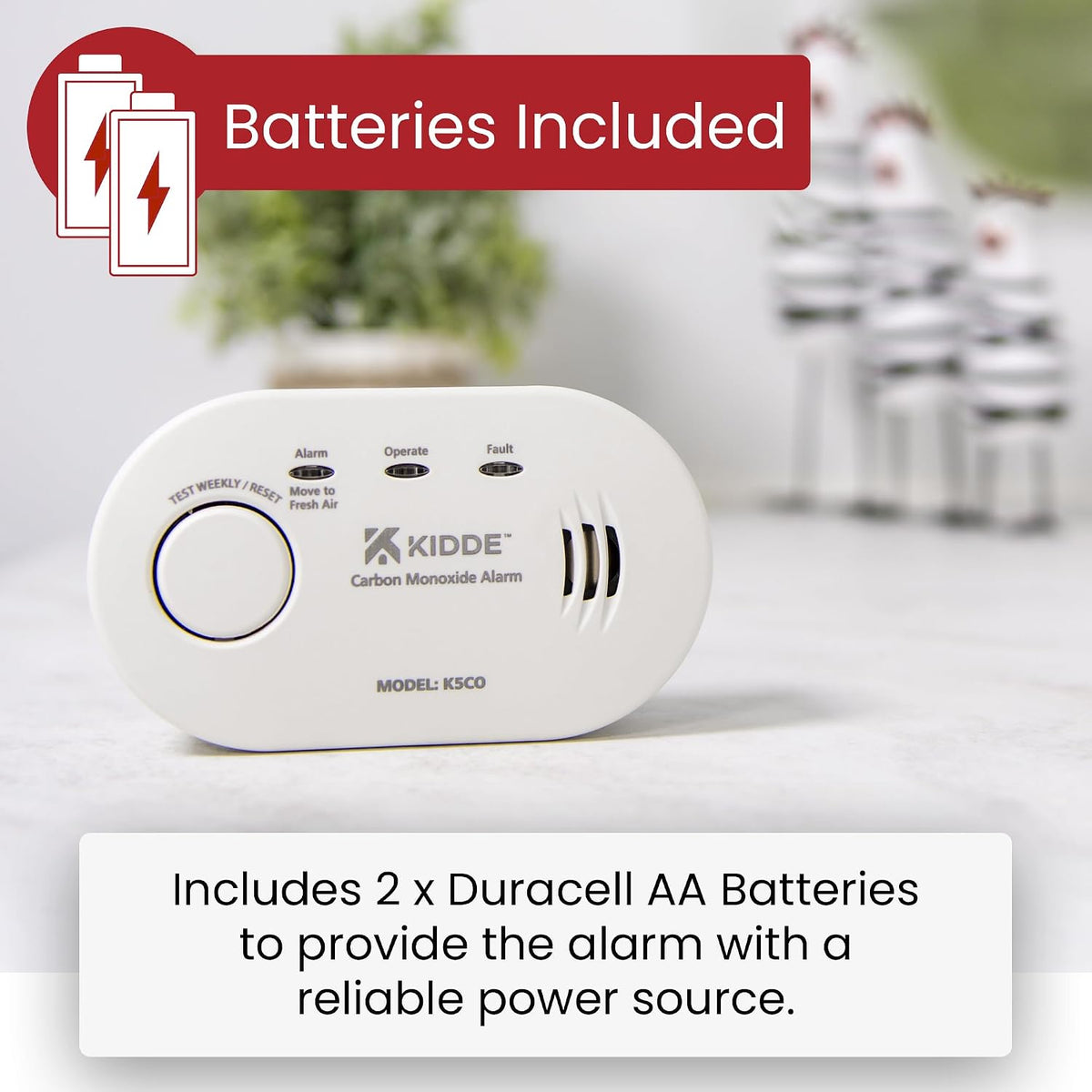5CO Carbon Monoxide Alarm and Detector with AA Batteries - 10 Year Sensor Life CO Alarm for Home