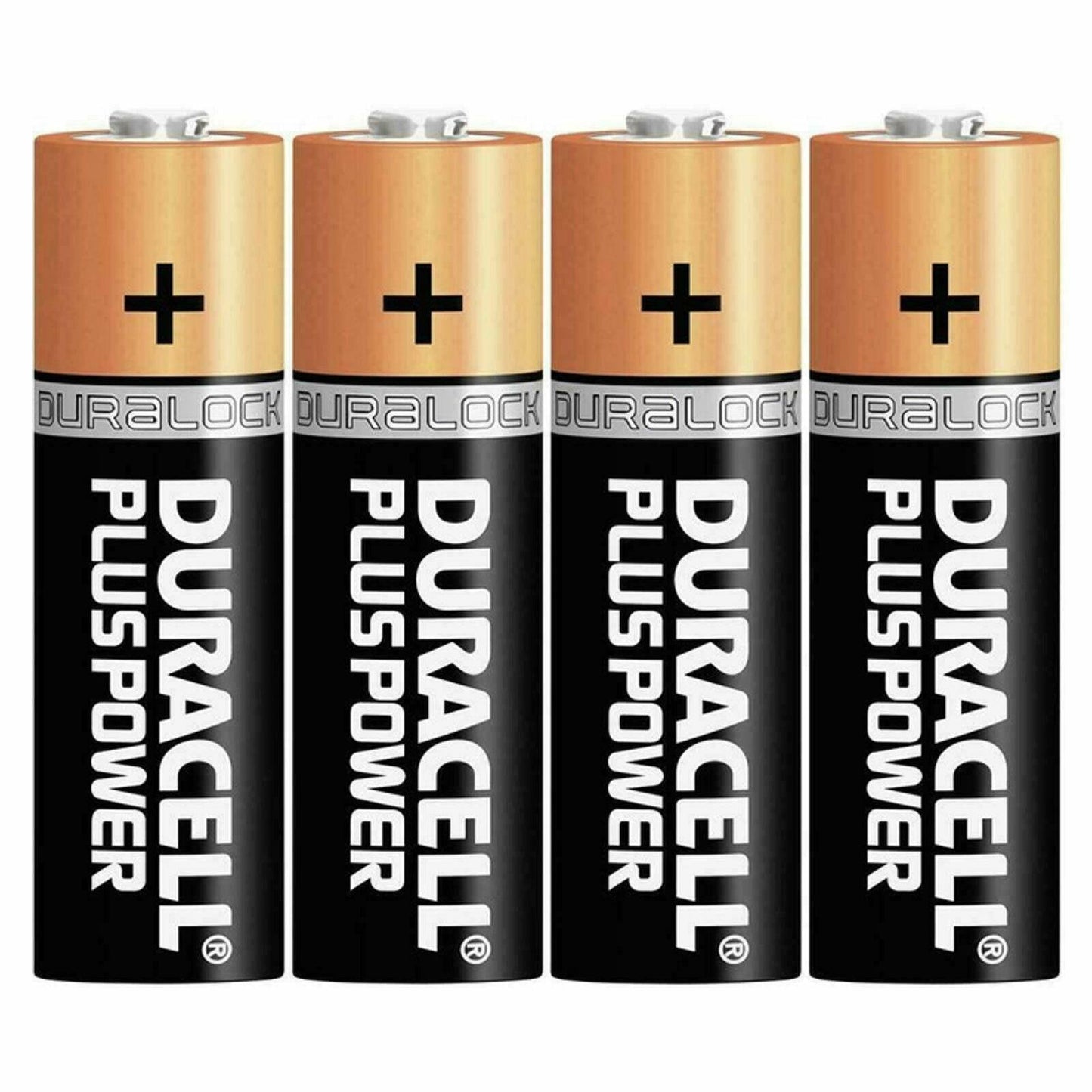 Four Duracell Plus Power AA batteries for van life gear and outdoor adventures