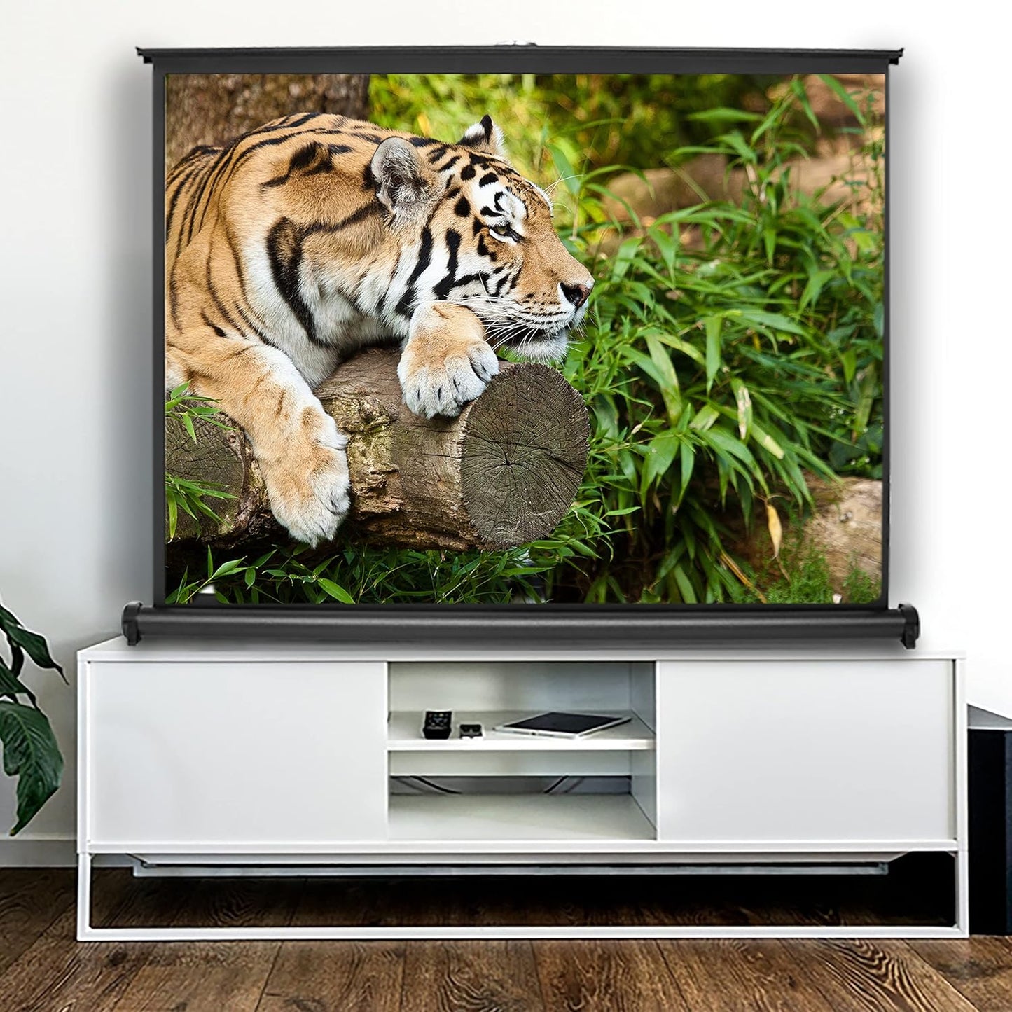 Tiger on log displayed on large projector screen in modern living room setup