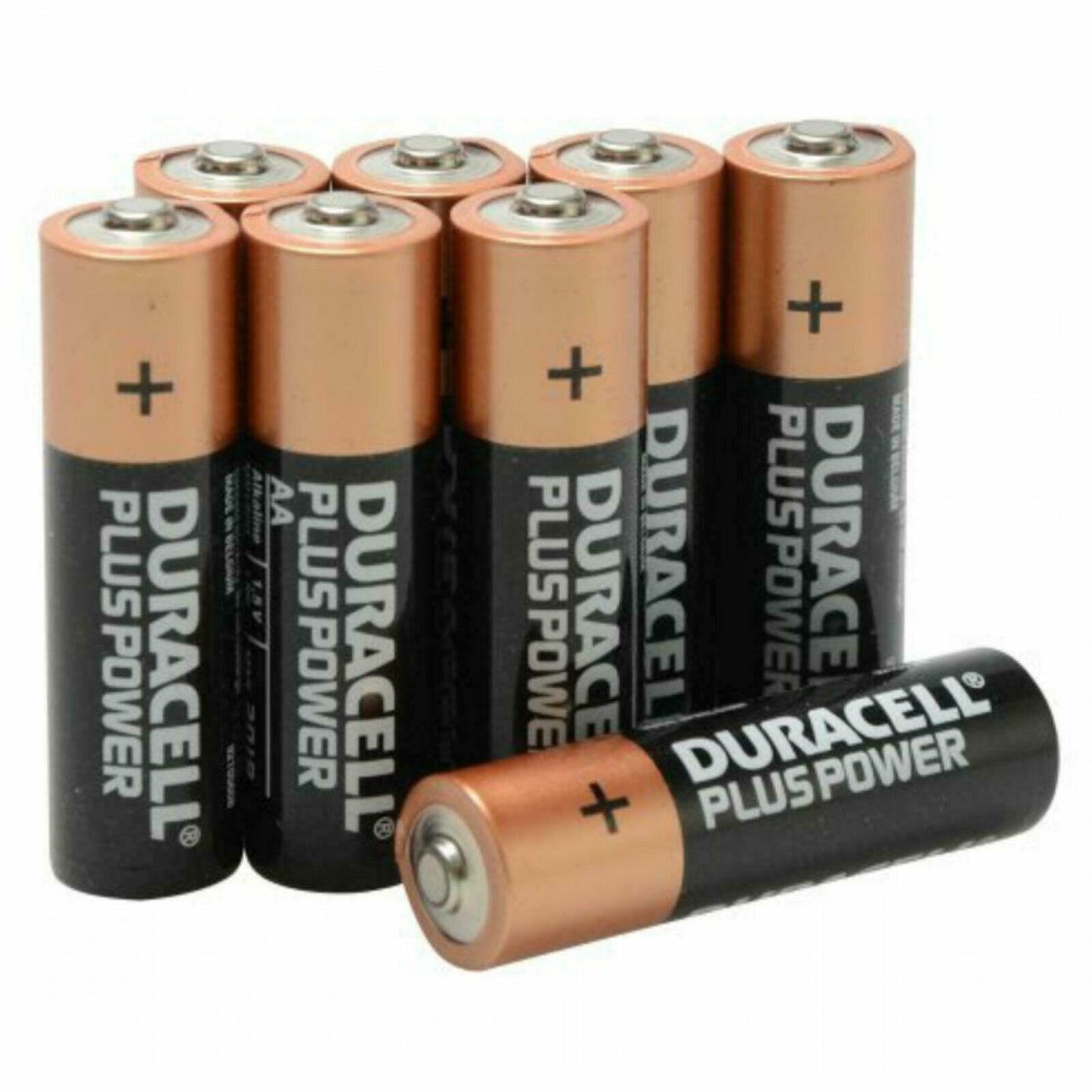 Duracell Plus Power AA batteries for van life gadgets and outdoor gear essentials