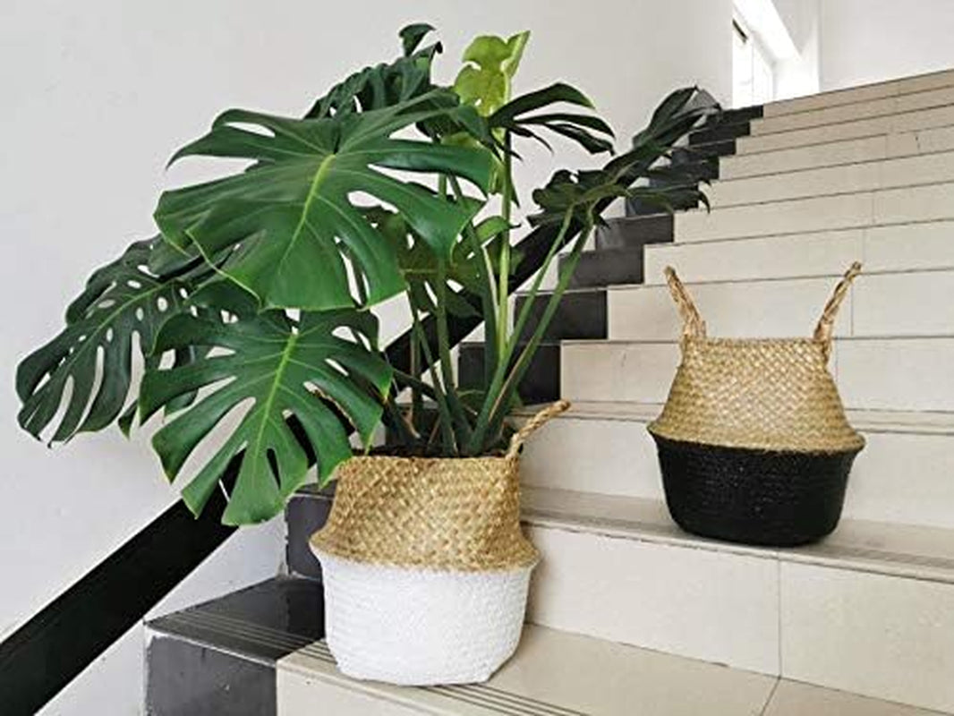 Seagrass Belly Basket Natural Woven Plant Pot Foldable with Handles for Storage Laundry Blankets Toys (Natural + Black)
