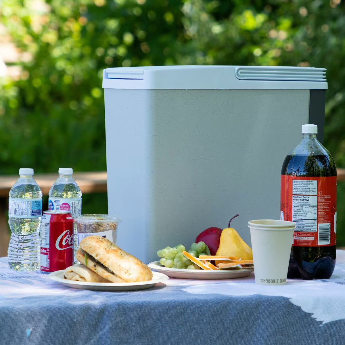 12V Electric Cooler 17L, Cool/Warm Box with Adjustable Strap in Grey