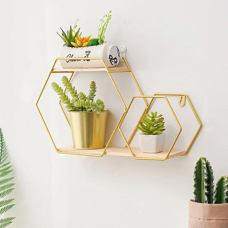 Gold hexagon wall shelf with succulents, perfect for van life decor and small space organization