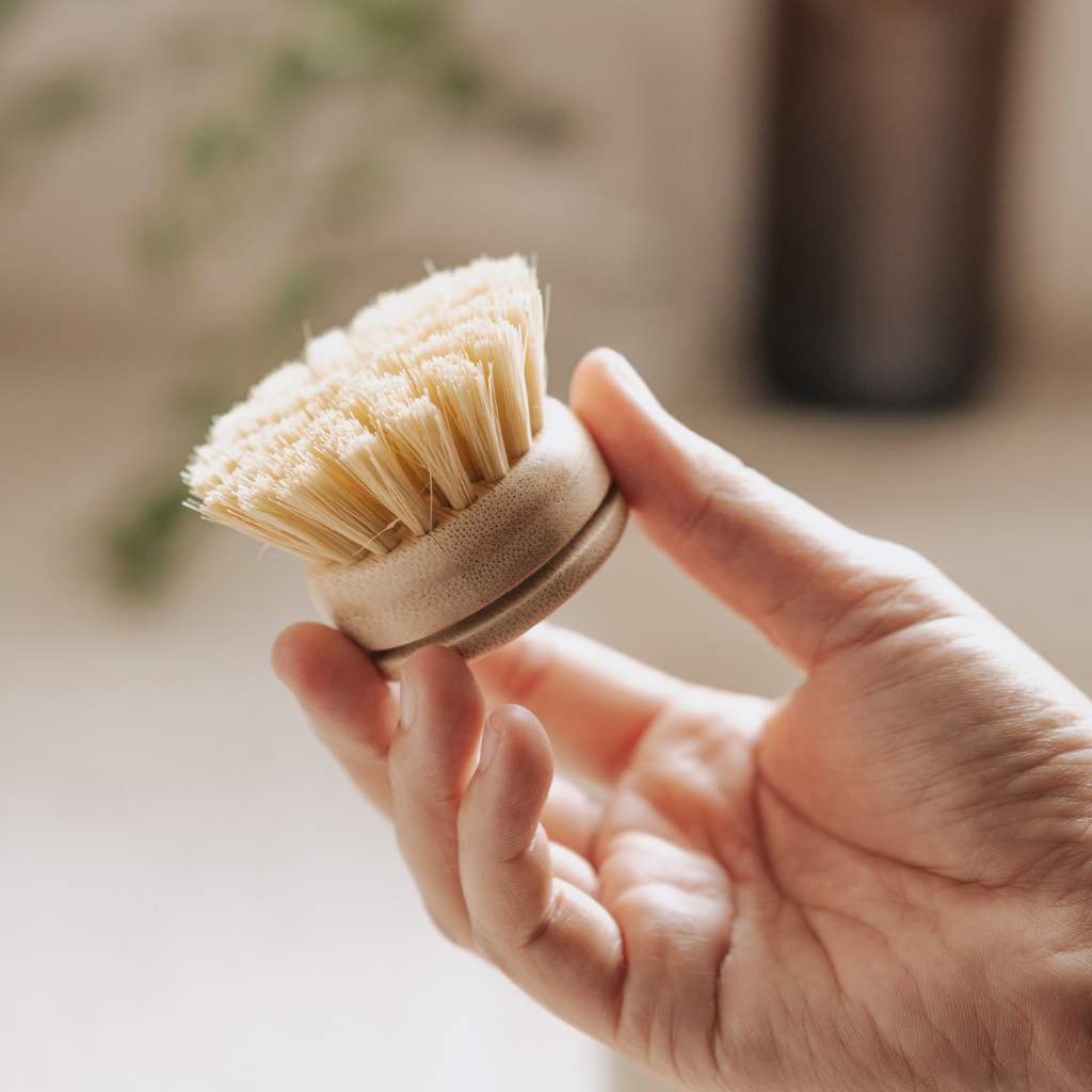 Bamboo dish brush with natural bristles for eco-friendly van life cleaning