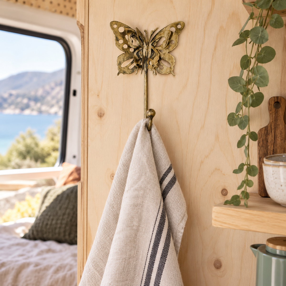 Butterfly Hook in a van-life setting
